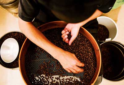 �����������蓤